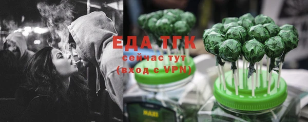 крисы Каменка