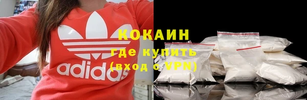 крисы Каменка