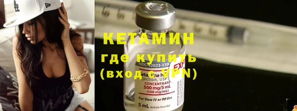 крисы Каменка