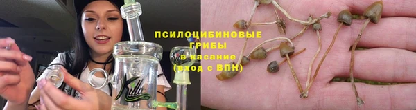 крисы Каменка