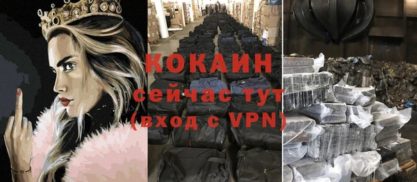 твердый Иннополис