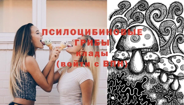 меф Каменск-Шахтинский