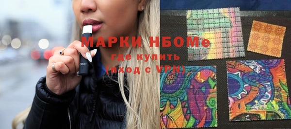 крисы Каменка