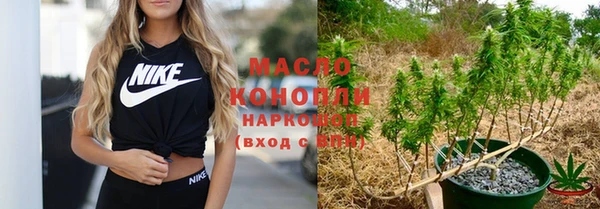 индика Карпинск