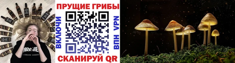 Галлюциногенные грибы мицелий  Купить закладки  Камешково 